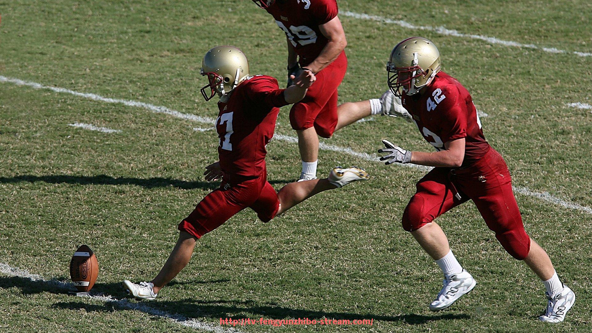 风云直播-顶级健身器材品牌的市场评选与对比分析