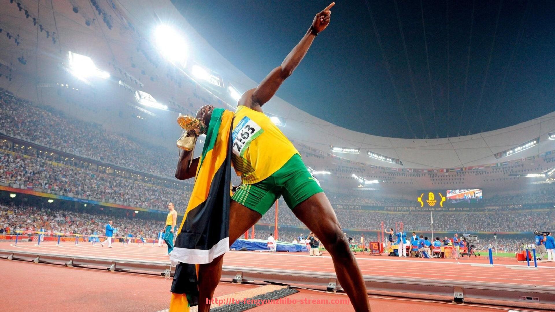 风云直播-顶级健身器材品牌的市场评选与对比分析